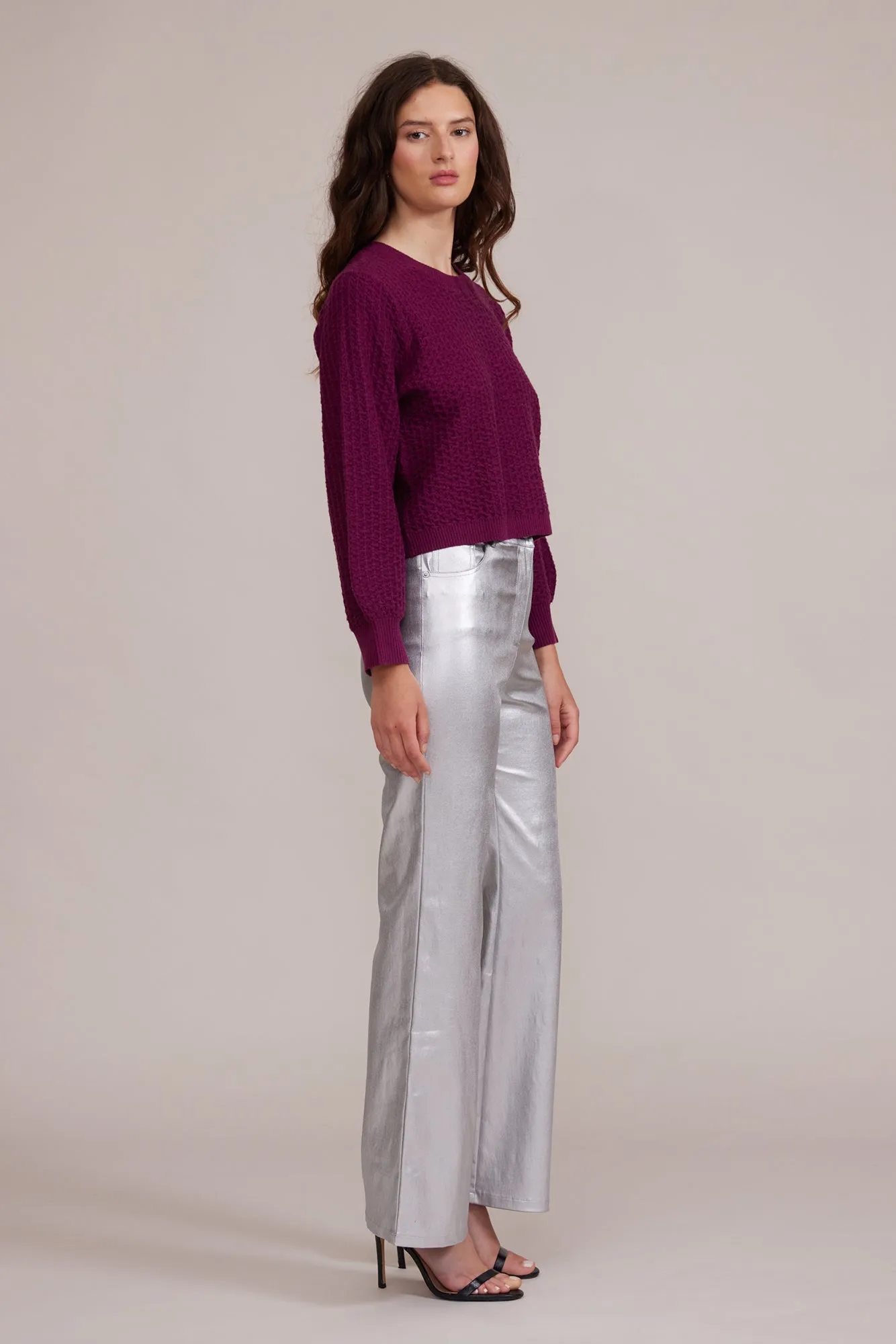 Adler Faux Leather Pant - Silver